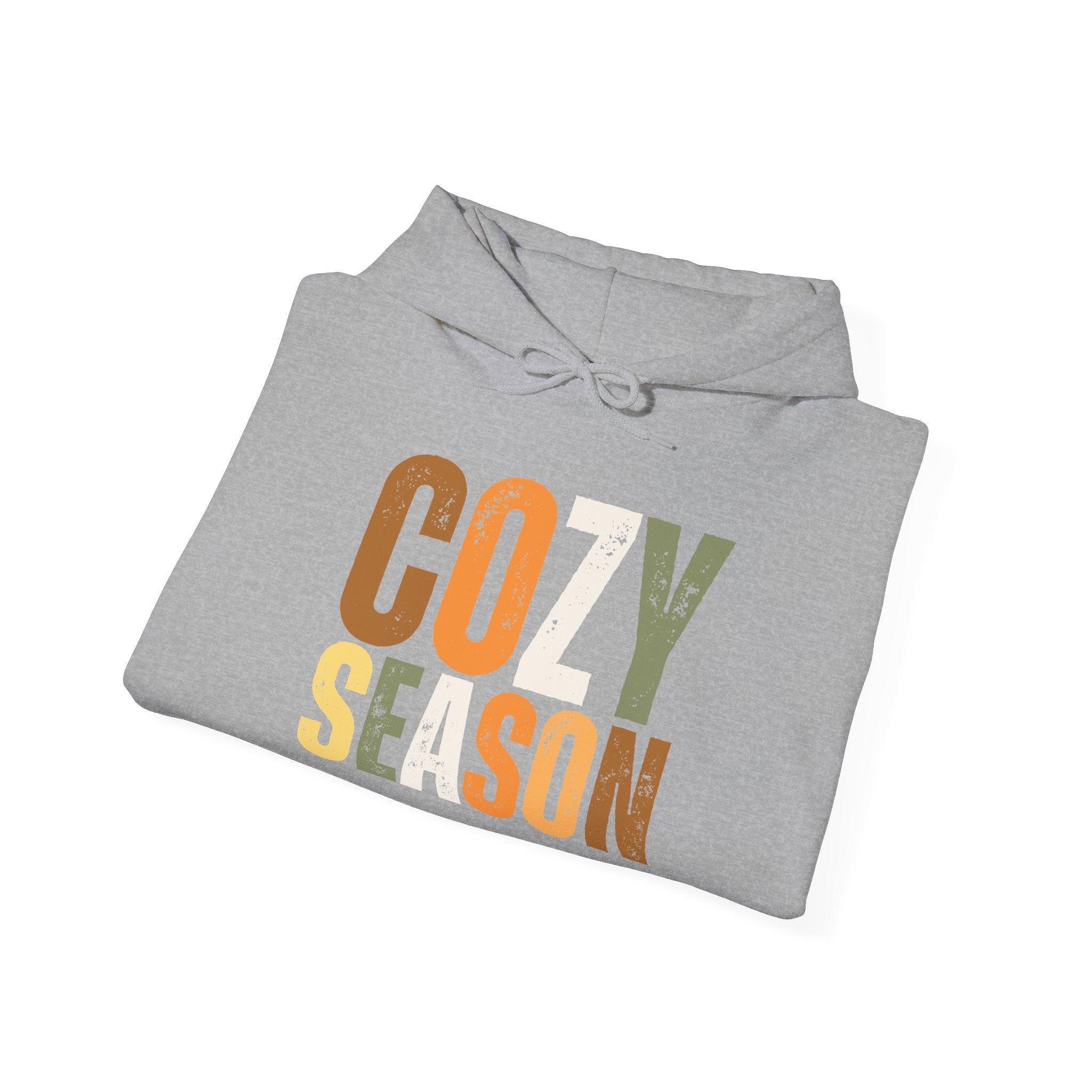 Cozy Season Hoodie — Vintage Fall ‘Cozy Season’ Pullover
