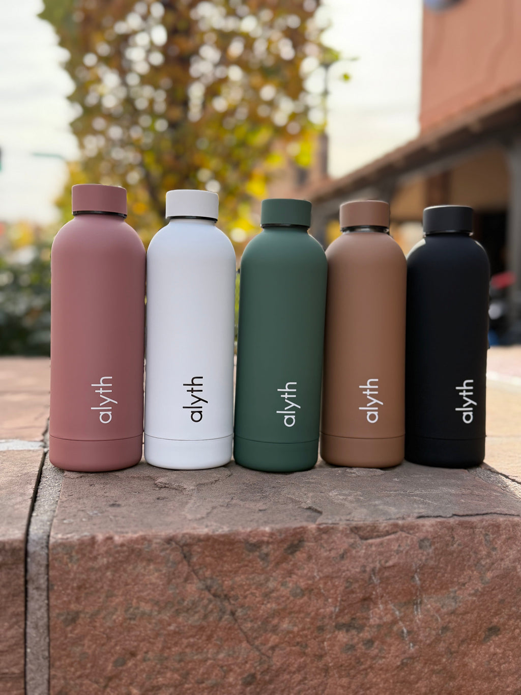 Alyth Water Bottle- 16oz